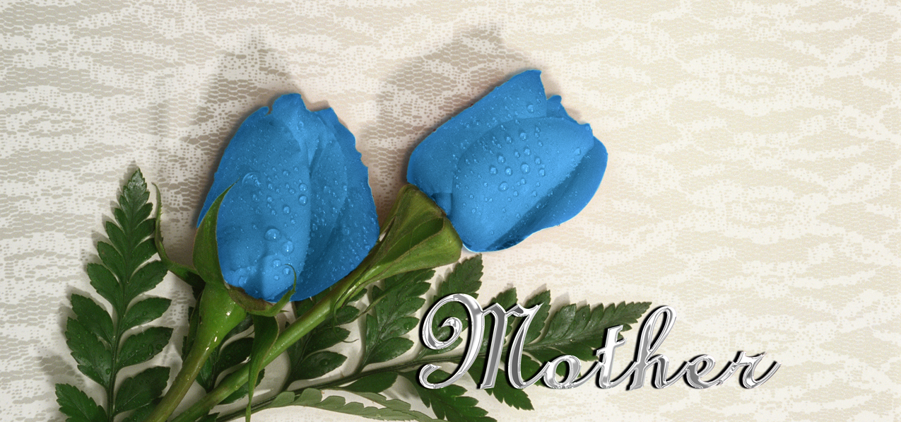 P 051 M SL 2 Roses Blue Silver Mother